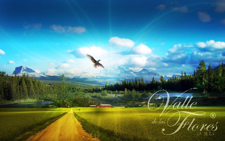 Funeraria Funerales Valle de las Flores